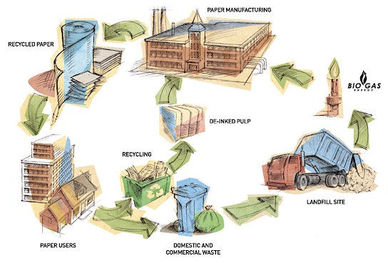 Environmental Paper Cycle